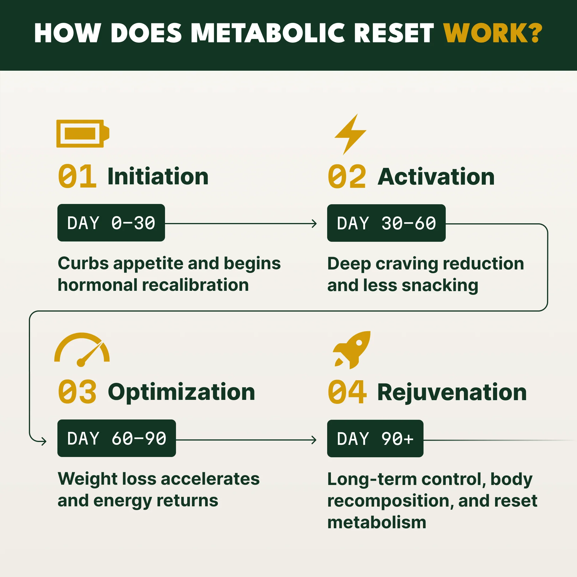 Metabolic Reset - Image 6